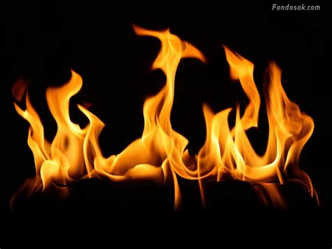 BLOG DE EDUARDO: COMO DESCUBRIERON EL FUEGO LOS PRIMEROS SERES HUMANOS