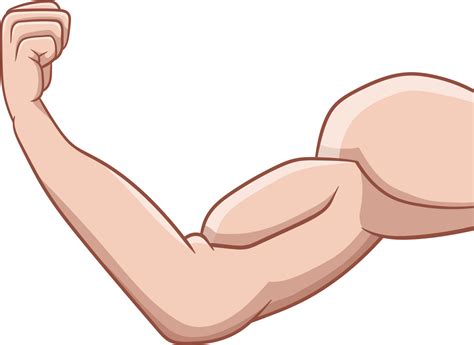 Muscle arm drawing clipart 26749421 PNG