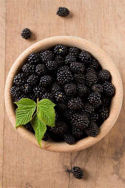 22 Best Blackberry Recipes That Are Easy To Make At Home - IzzyCooking