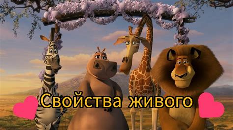 Свойства живого для ОГЭ. Тебе это точно надо знать - YouTube