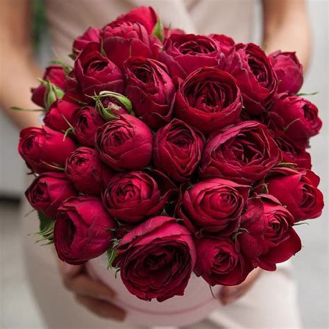 Саженцы лучших сортов роз’s Instagram post: “🌹Ред Лейс/ Red Lace🌹 ...