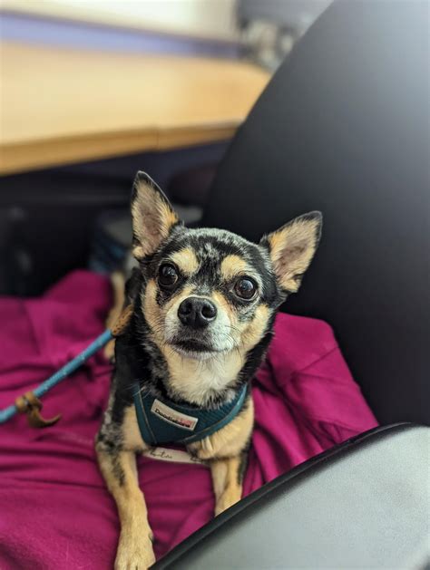 I want to be underneath her just sucking on her tits so bad then flip