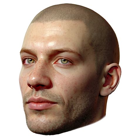 photorealistic human head png  wallpaperscom
