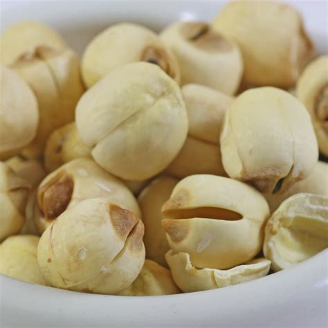 How to grow the sacred lotus (Nelumbo nucifera) from seeds