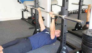 bodyweight rows bodybuilding wizard