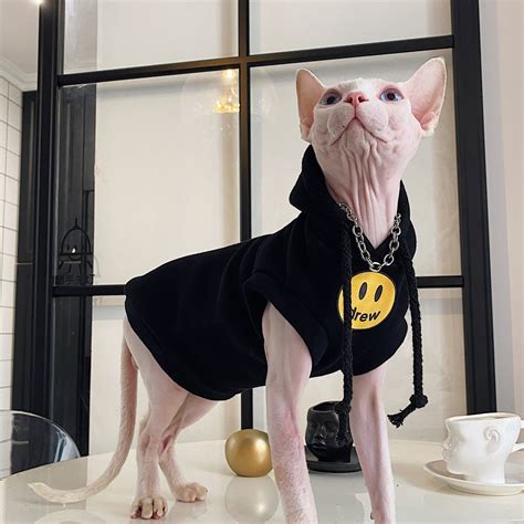 Cotton Hairless Cat Clothes Sphynx Cat Clothing Hooded Smile - Etsy