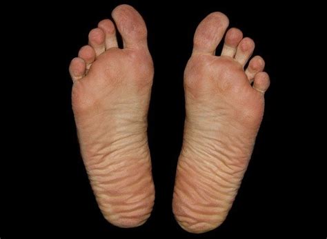 songs  feet