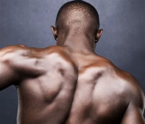 Strong Healthy Shoulders: Mould, Mobilize, Activate