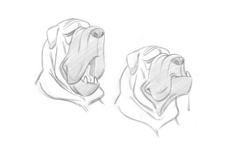 10+ images about Animal/Creature Character Reference on Pinterest ...