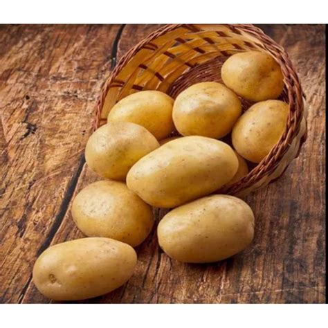kg ubi kentang potato shopee malaysia