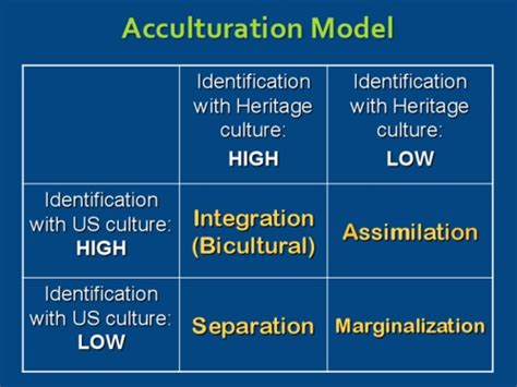 Acculturation: 4 Ways to adjust to a new culture - Hoai-Thu Truong