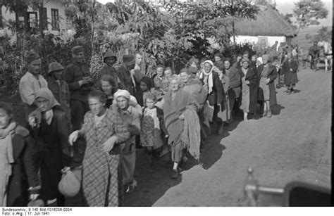 Лето 1941-го в немецких фотографиях (62 фото)