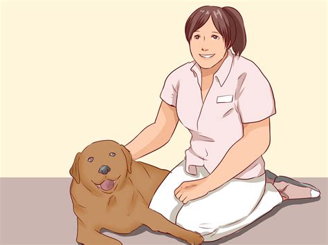 How to Train Your Dog Not to Bite: 15 Steps (with Pictures) – Mytour