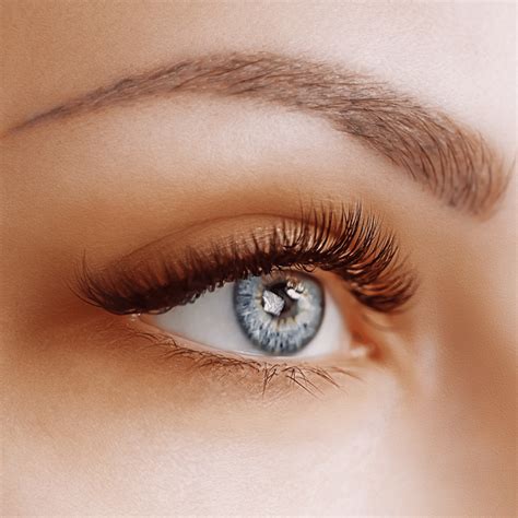 "Lash Enhancement" Eyeliner - RENU Studio