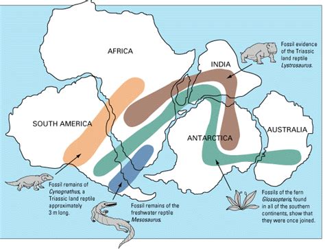 Rejoined continents [This Dynamic Earth, USGS]