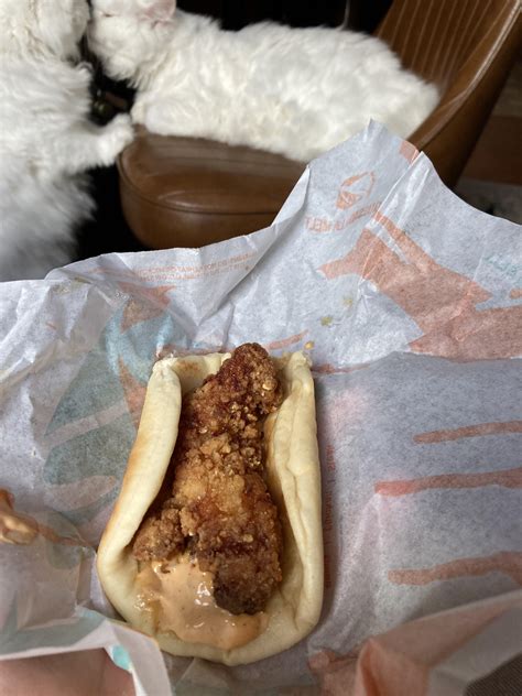 Taco bells new chickin sandwich ft my cats : r/shittyfoodporn