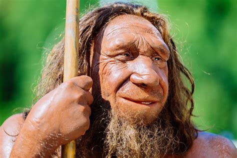 Neanderthals Interbred with Now-Extinct Lineage of Early Modern Humans ...