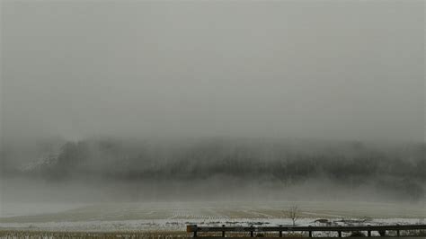 robert eustace winter trees suite pt   behance