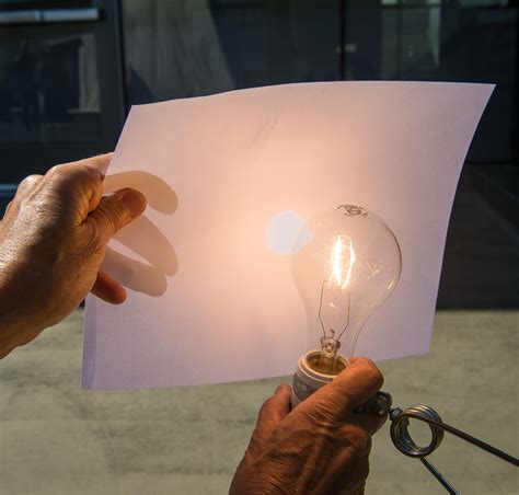 luminosity science light bulbs