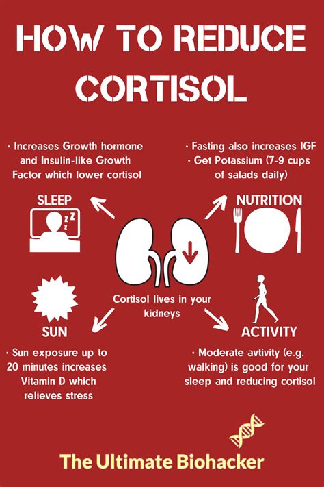 how to fix cortisol levels