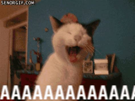 Screaming GIF - Find & Share on GIPHY