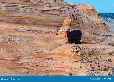 coyote buttes norte  vermilion cliffs national monumento en arizona