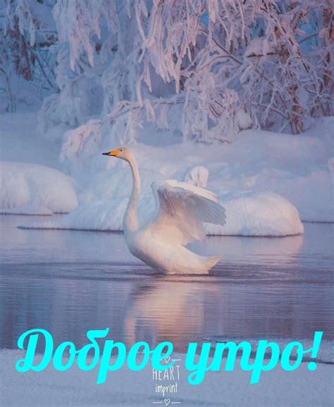 С добрым утром картинки зима