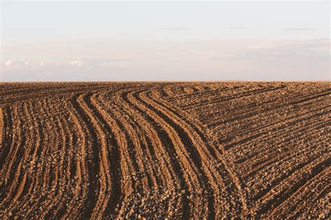 รูปภาพTilled – เลือกดูภาพถ่ายสต็อก เวกเตอร์ และวิดีโอ4,377,682 | Adobe ...