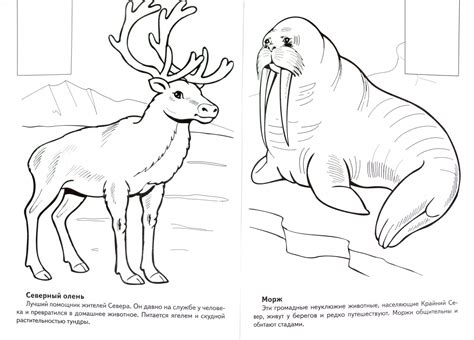 Разукрашка Красная Книга