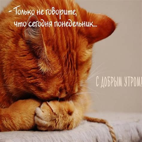 Поздравительные открытки (95 000 шт)