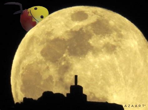One small step for Despacito, one giant leap for Egg. : r/GoCommitDie