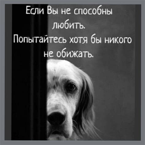 душа скажи слова (Крабат Или Обновление Мира) / Стихи.ру