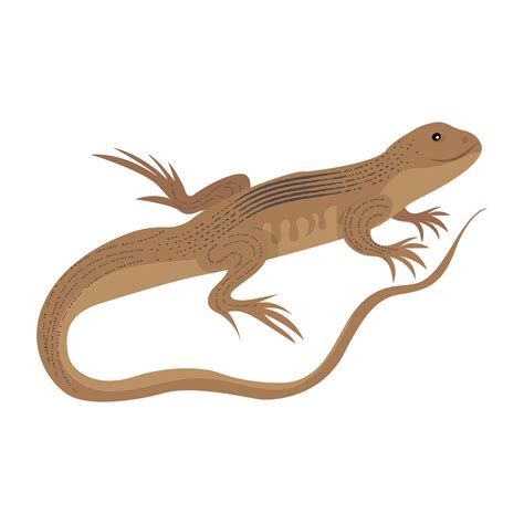Trendy Elasmosaurus Concepts 4488888 Vector Art at Vecteezy