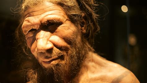 neanderthal   bbc reel