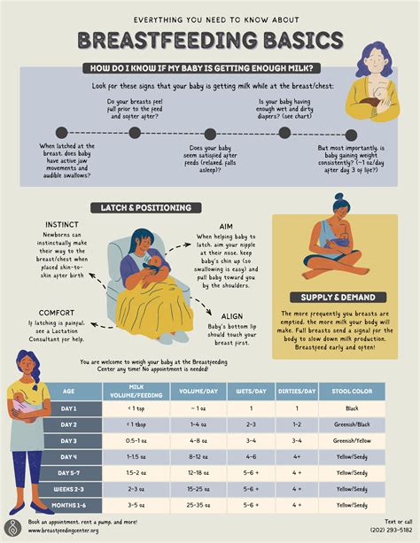 Chestfeeding breastfeeding facts infographic – Artofit