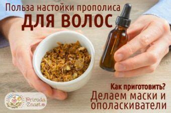 Прополис от насморка— рецепты для детей и взрослых