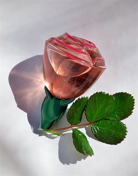 Volare Moments Oriflame perfume - a fragrance for women 2020