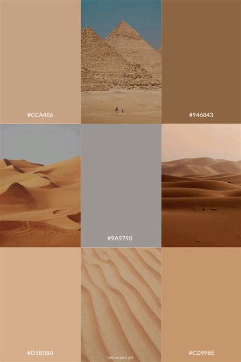 desert themed neutral color palette desert shades desert beige color