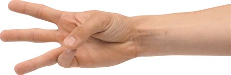 Hands PNG, hand image free