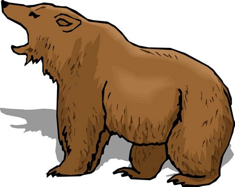 pictures  cartoon bears   pictures  cartoon bears