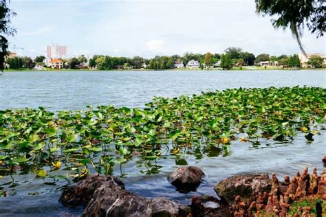 14 Best Things To Do In Lakeland FL You Shouldn't Miss - Florida Trippers