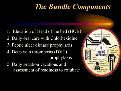 Importance of Infection Prevention from VAP and Use of Care Bundle ...