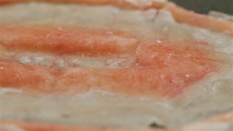 artist making fake scars wounds stock footage sbv