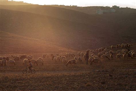 Israel announces plan to seize vital land in Masafer Yatta – Middle ...