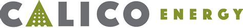 calico company overview calico energy