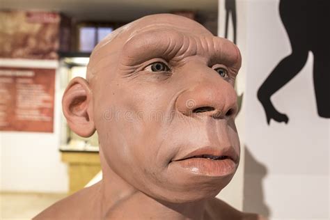 Realistic Neanderthal Stock Photos - Free & Royalty-Free Stock Photos ...