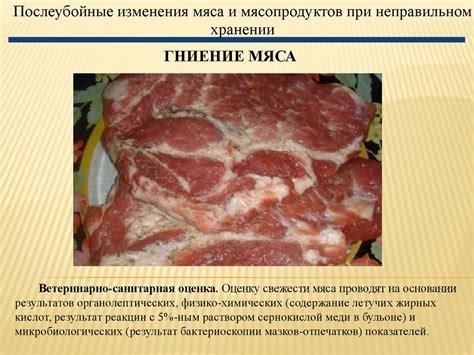 Изменения в мясе при хранении. Виды порчи мяса - online presentation