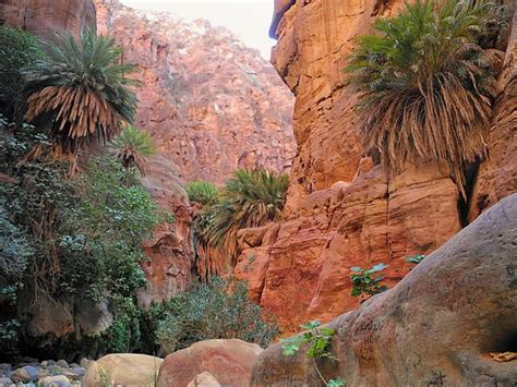 wadi wikipedia