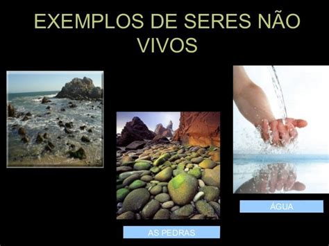 Componente Não Vivo Do Ambiente - Seresvivo e não vivos