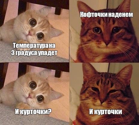 Комикс мем: "Кофточки наденем Температура на 3 градуса упадет И ...